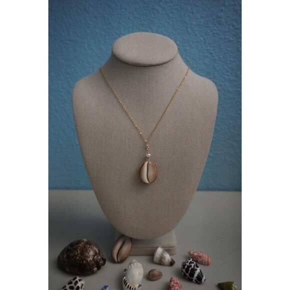 Cowrie Shell Necklace, 14k Gold Filled Chain - Picture 6 of 7